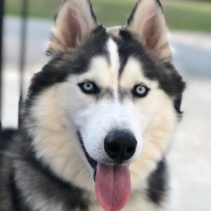 Meet your Posher, Elyse